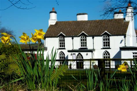 tudor lodge manorbier